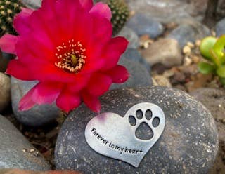 Pet Memorial Gift Rock