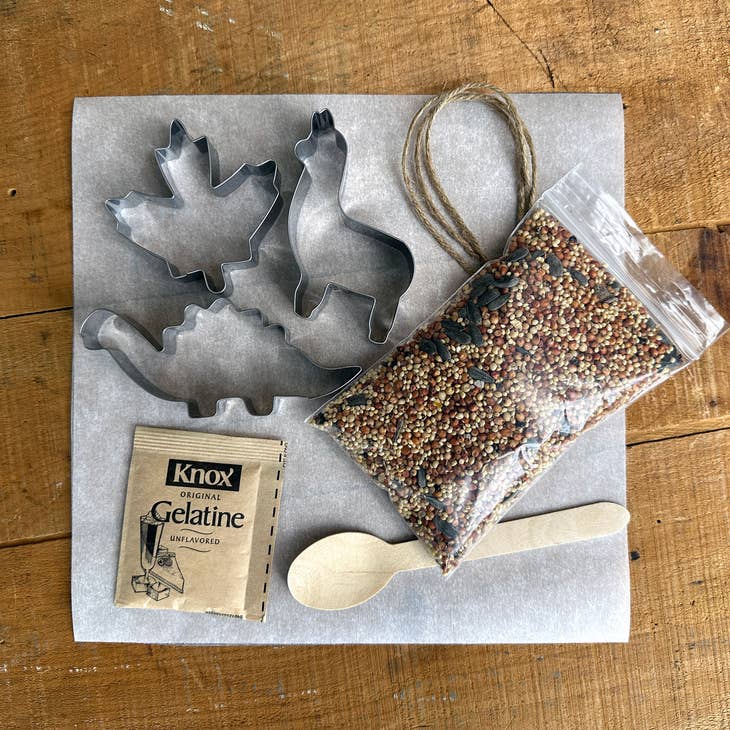 DIY Birdseed Feeder