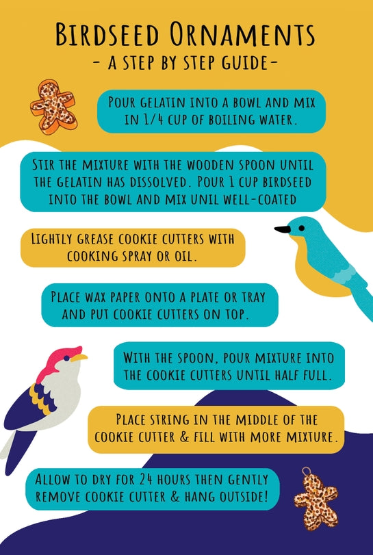 DIY Birdseed Feeder