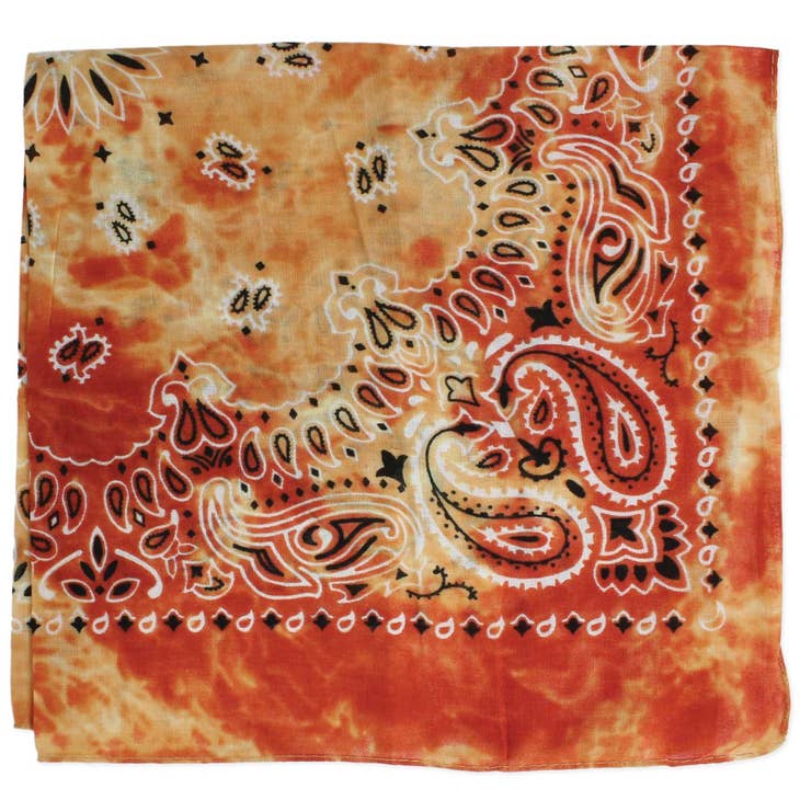 Tie Dye Paisley Bandana
