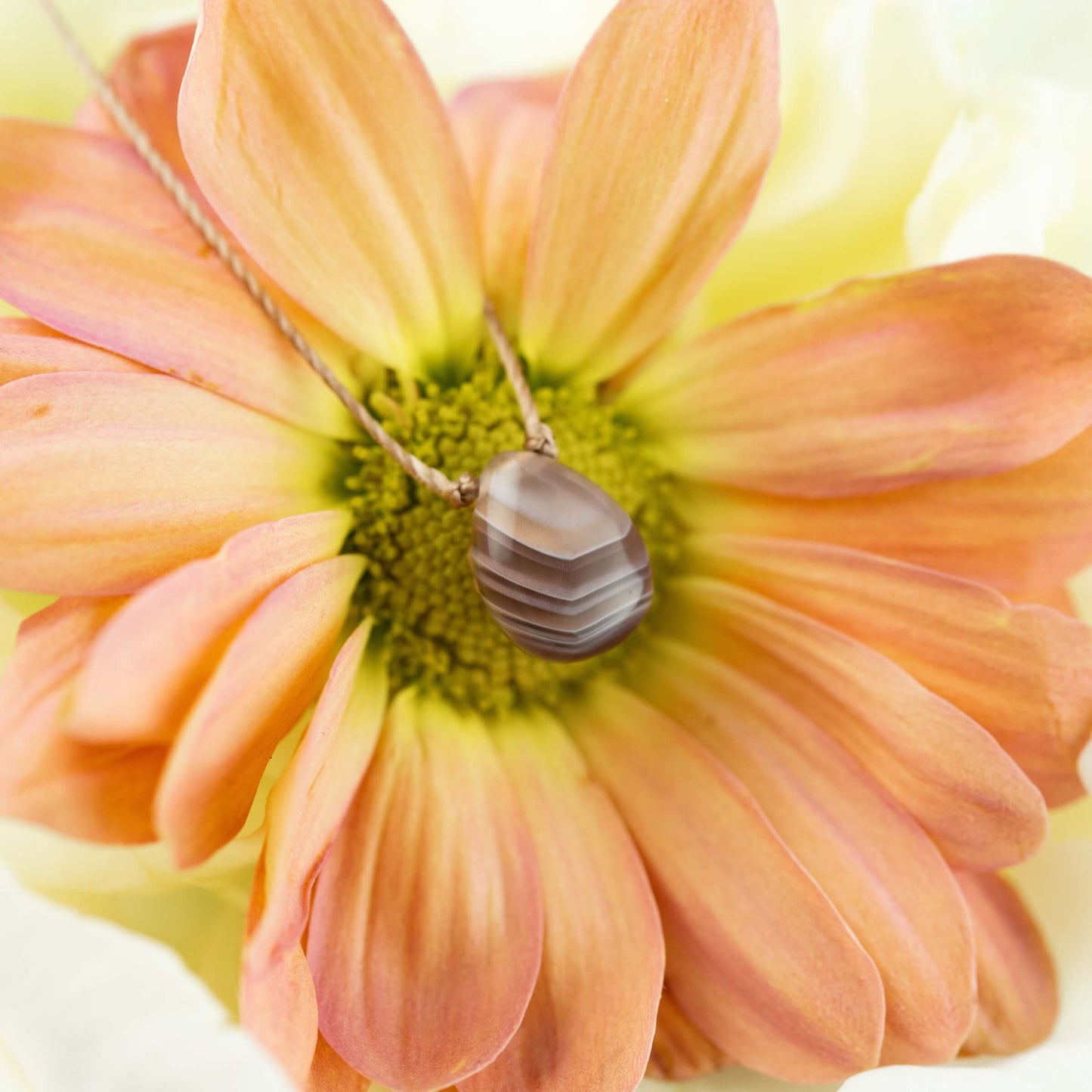 Botswana Agate Change Necklace