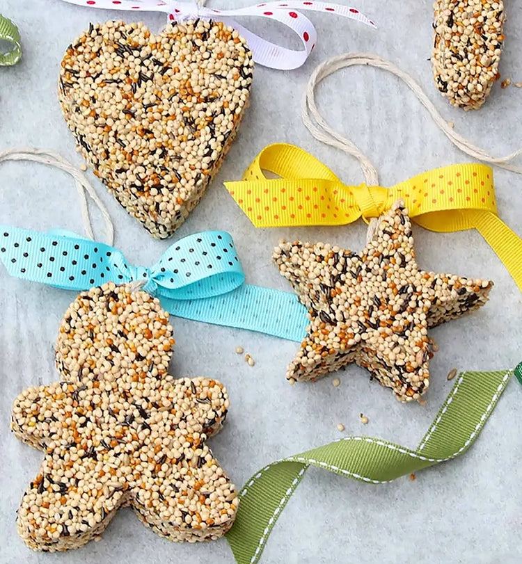 DIY Birdseed Feeder
